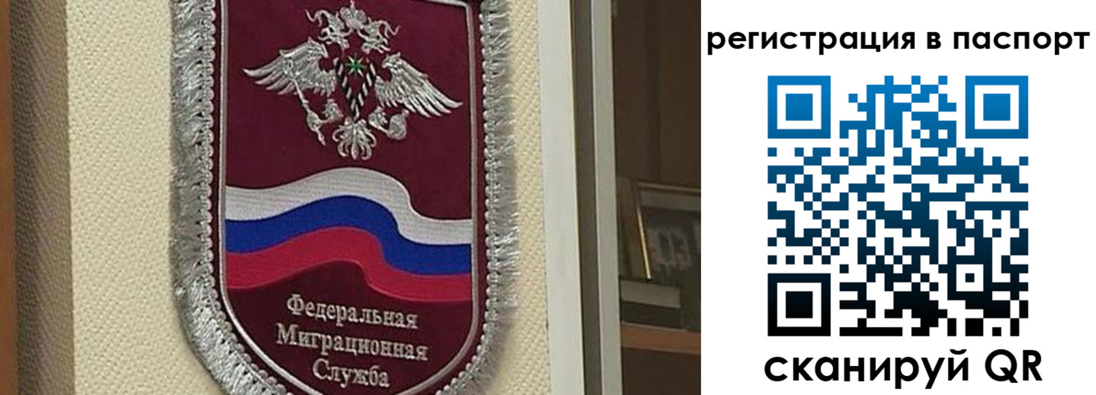 прописка законно в Волосово